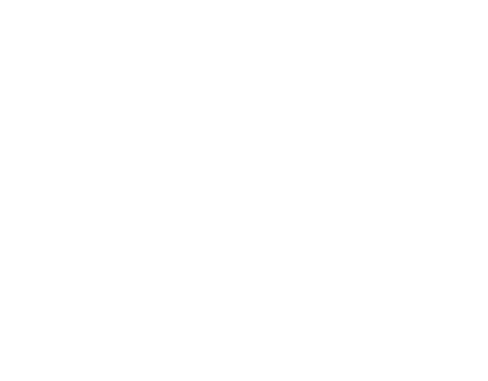 paripesa footer logo